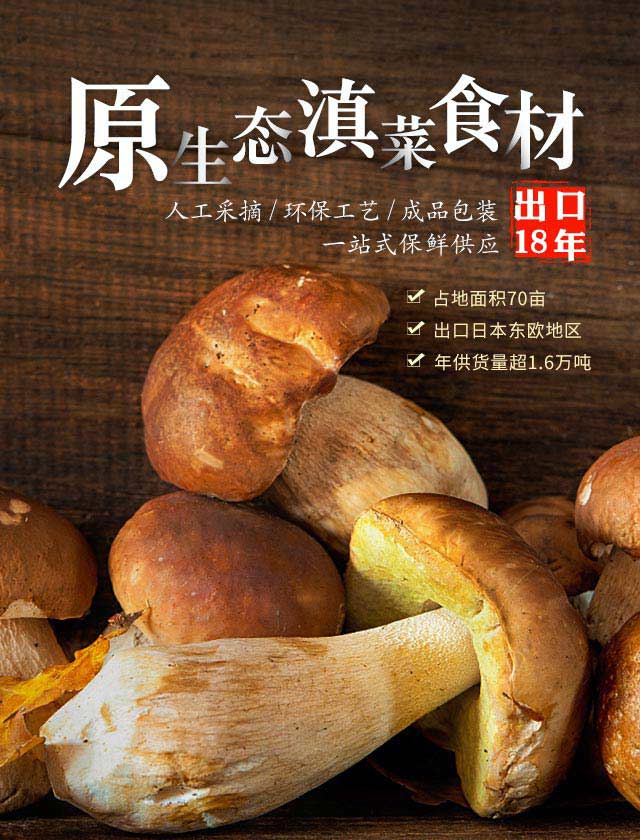 萬力貿易專注云南原生態滇菜食材供應18年