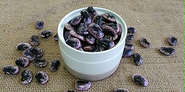 萬力貿易帶你了解蕓豆營養價值