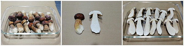 牛肝菌產品鑒賞