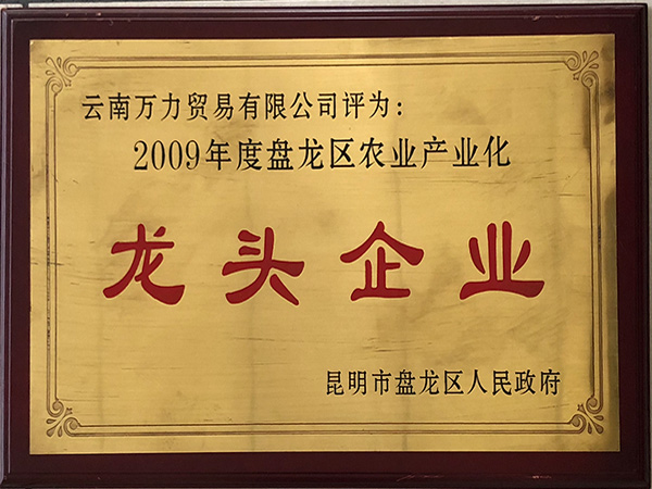 萬力貿易榮獲2009年度龍區農業產業化龍頭企業
