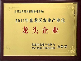 萬力貿易榮獲2011年度盤龍區農業產業化龍頭企業