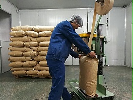 萬力貿易蕓豆車間