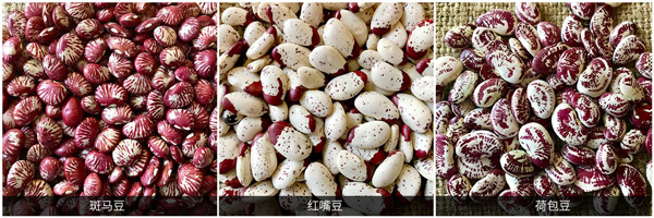 蕓豆