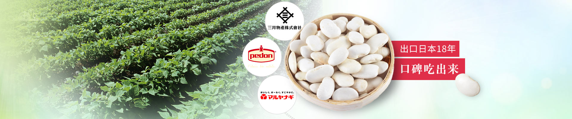 萬力貿易出口日本18年 · 口碑吃出來