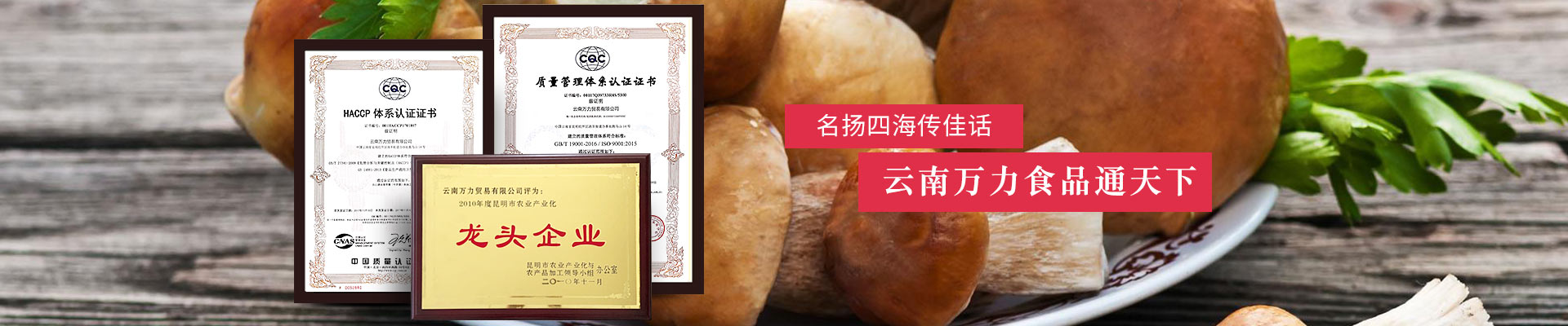 名揚四海傳佳話，云南萬力食品通天下
