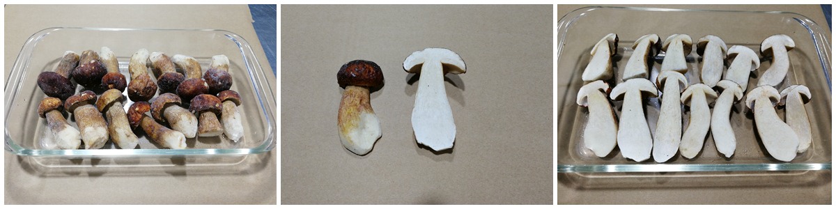 牛肝菌產品鑒賞