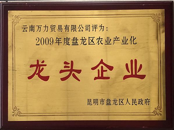 萬力貿易榮獲2009年度龍區農業產業化龍頭企業