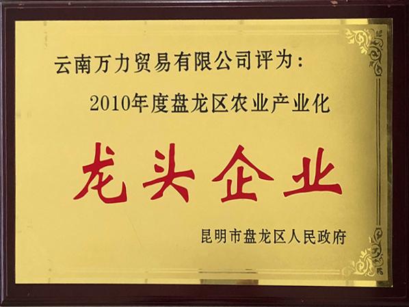 萬力貿易榮獲2010年度盤龍區農業產業化龍頭企業